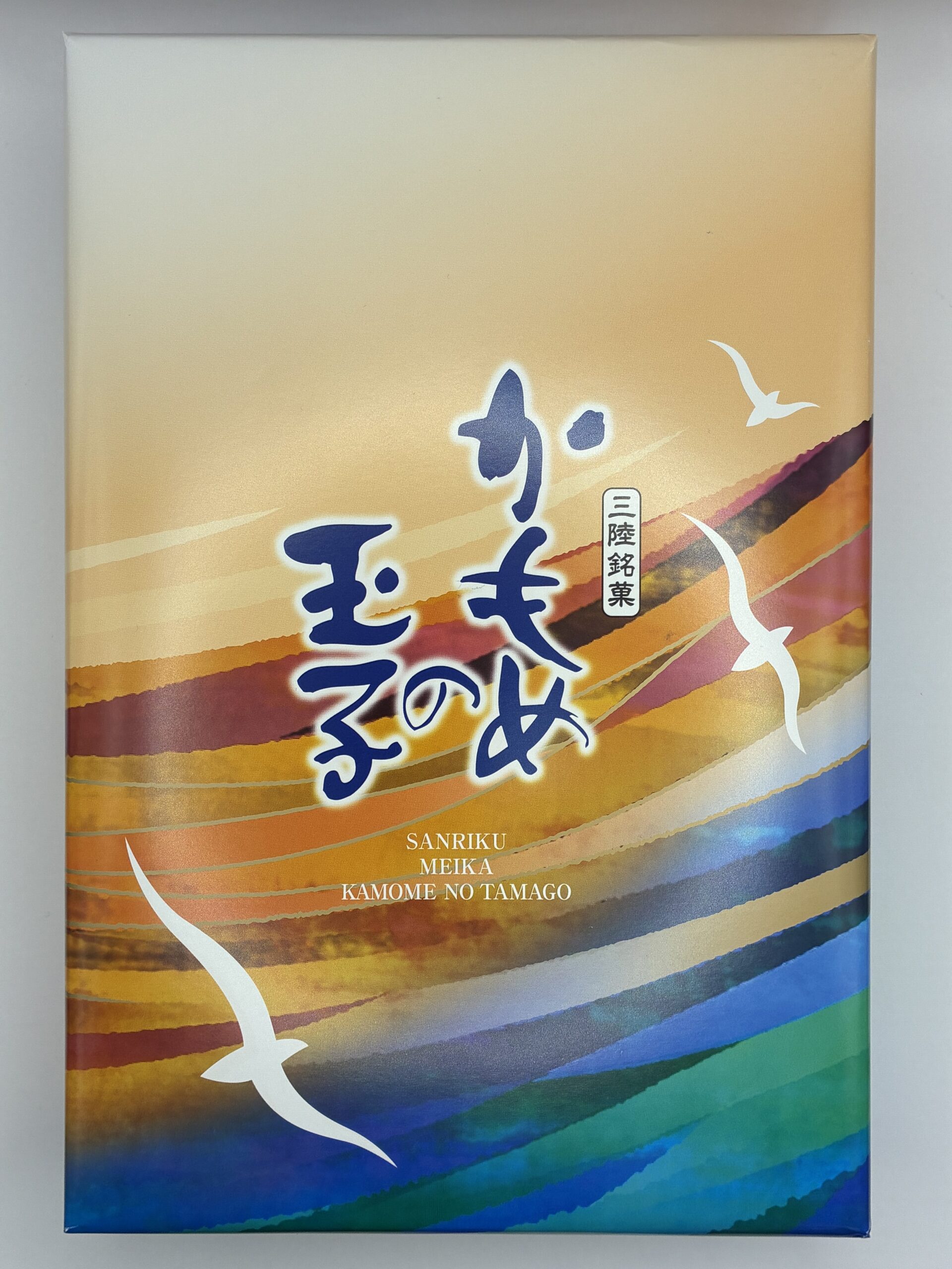 kamome2